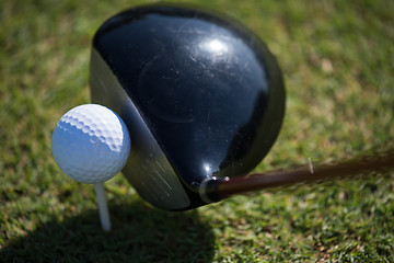 Image showing top view of golf club and ball in grass