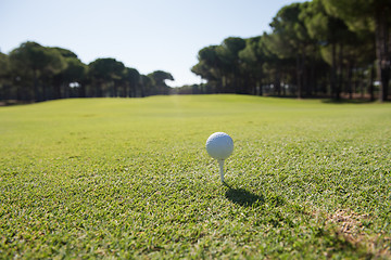 Image showing golf ball on tee