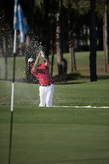 Image showing golfer hitting a sand bunker shot