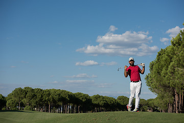 Image showing golf player hitting long shot