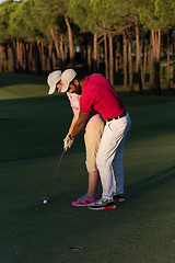 Image showing golf instructions