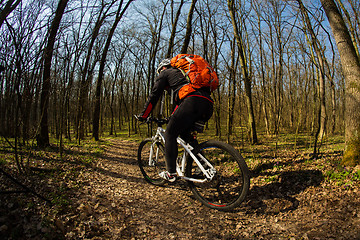 Image showing Cyclist Riding the Bike