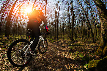 Image showing Cyclist Riding the Bike