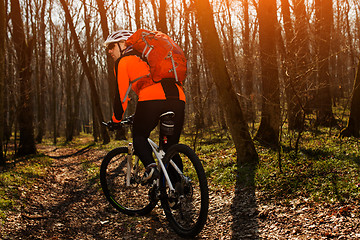 Image showing Mountain biker riding on bike in springforest landscape. 