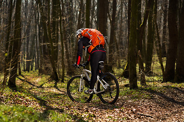 Image showing Mountain biker riding on bike in springforest landscape. 