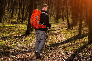 Image showing Active healthy man hiking in beautiful forest