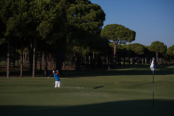 Image showing pro golfer hitting a sand bunker shot