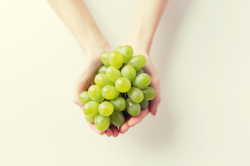 Image showing close up of woman hands holding green grape bunch