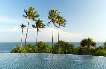 Image showing view from infinity edge pool to ocean and palms