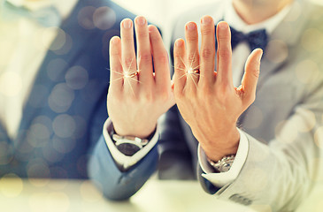 Image showing close up of male gay couple with wedding rings on