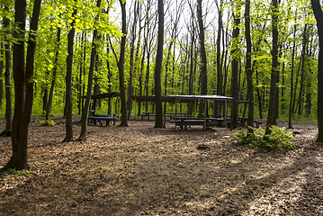 Image showing Forest benches for rest