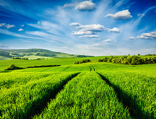 Image showing Green fields of Moravia