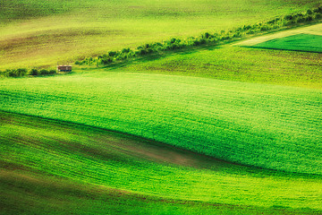 Image showing Rolling landscape of  South Moravia