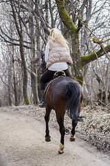 Image showing Girl riding a horse in forest