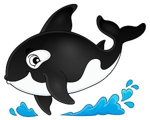 Image showing Orca theme image 1