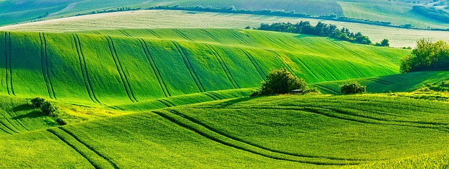 Image showing Moravian rolling landscape