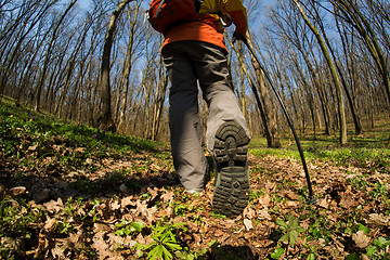 Image showing Close up of hiker shoes boots and hiking sticks poles