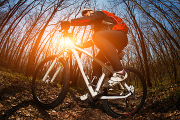 Image showing Cyclist Riding the Bike