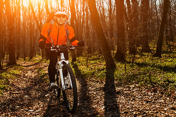 Image showing Mountain biker riding on bike in springforest landscape. 