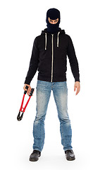 Image showing Robber with red bolt cutters