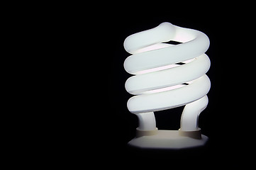 Image showing Compact fluorescent light bulb