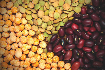 Image showing bean, lentil and pea