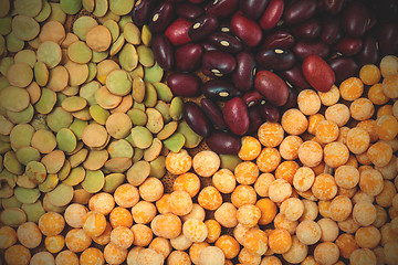 Image showing pea, lentil and bean background