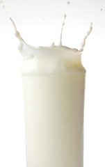 Image showing Milk