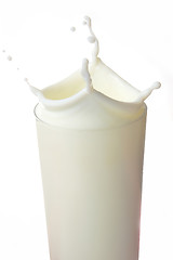 Image showing Milk