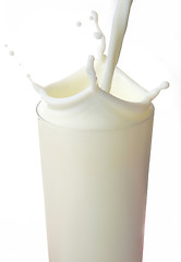 Image showing Milk