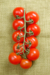 Image showing red cherry tomatoes on the vine