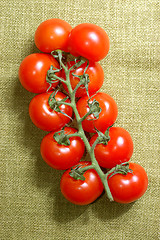 Image showing red cherry tomatoes on the vine