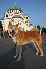 Image showing Church of Saint Sava