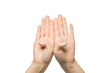 Image showing close up of two hands showing eight fingers