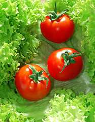 Image showing Fresh salad with tomatoes