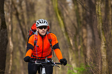 Image showing Mountain Bike cyclist riding single track