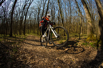 Image showing Cyclist Riding the Bike