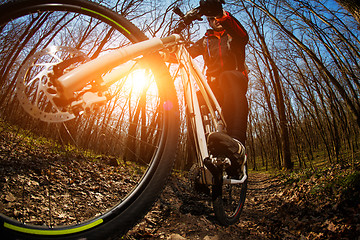 Image showing Cyclist Riding the Bike