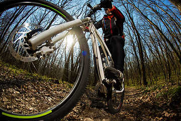 Image showing Cyclist Riding the Bike