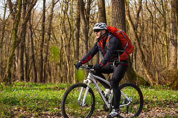 Image showing Mountain Bike cyclist riding single track