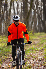 Image showing Mountain Bike cyclist riding single track