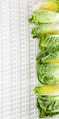 Image showing Frame of Romaine Lettuce