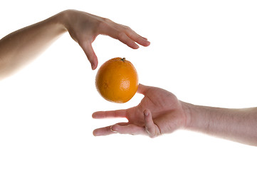 Image showing Magic fruit