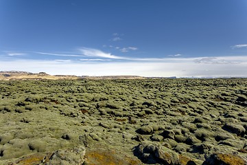 Image showing Iceland lava field covered with green moss