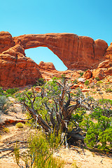 Image showing The North Window Arch at the Arches National Park