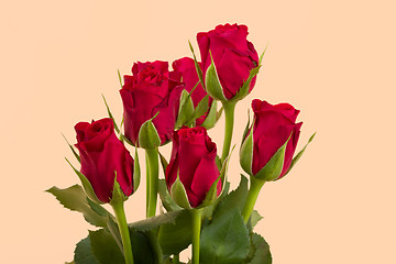 Image showing Bouquet of fresh red roses