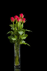 Image showing fresh red rose on black