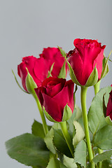 Image showing Bouquet of fresh red roses