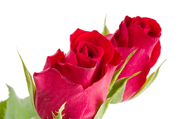 Image showing Bouquet of fresh red roses