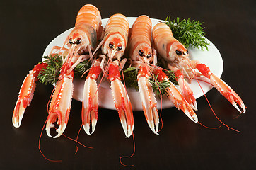 Image showing Delicious Raw Langoustines